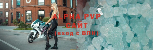 прущие грибы Беломорск