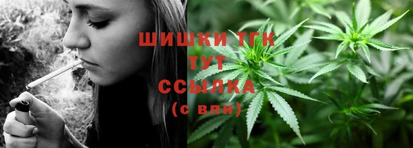 прущие грибы Беломорск