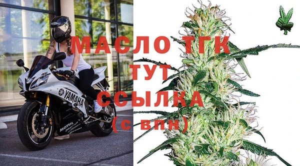 прущие грибы Беломорск